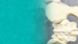 Fundamentals of Bone Marrow Transplant - October 2025