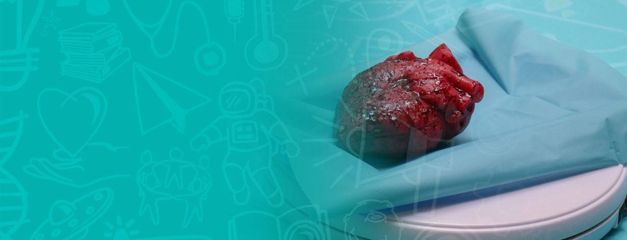 Paediatric Critical Care - Cardiac - June 2025