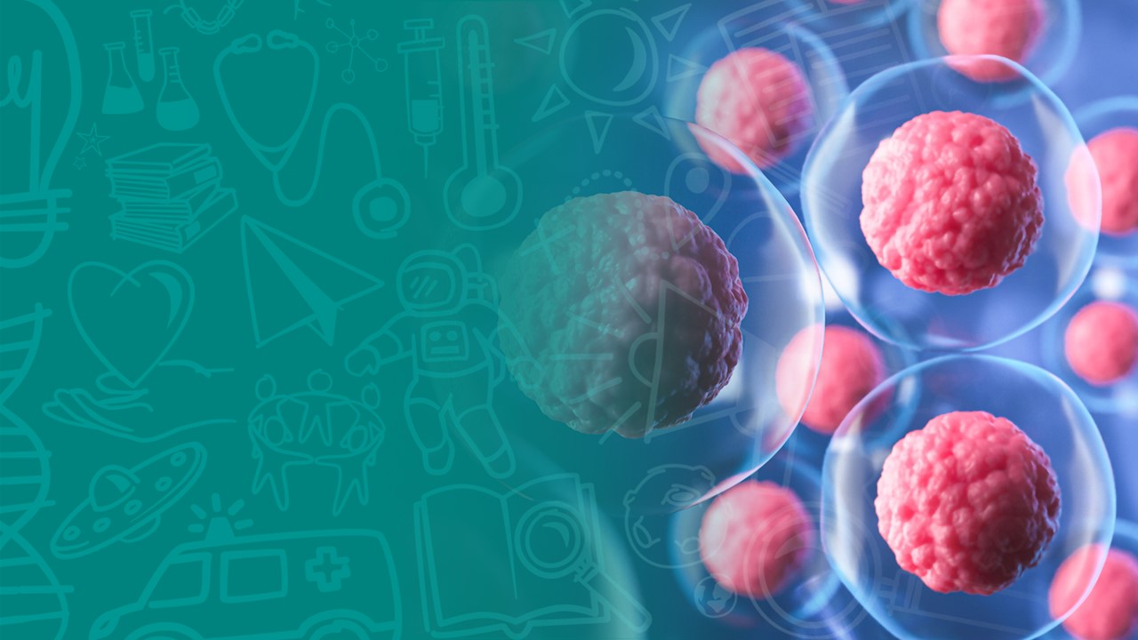 Fundamentals of Bone Marrow Transplant